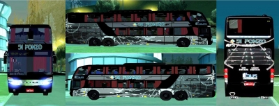 Marcopolo g6 1800 Skin Arpa Autolinee